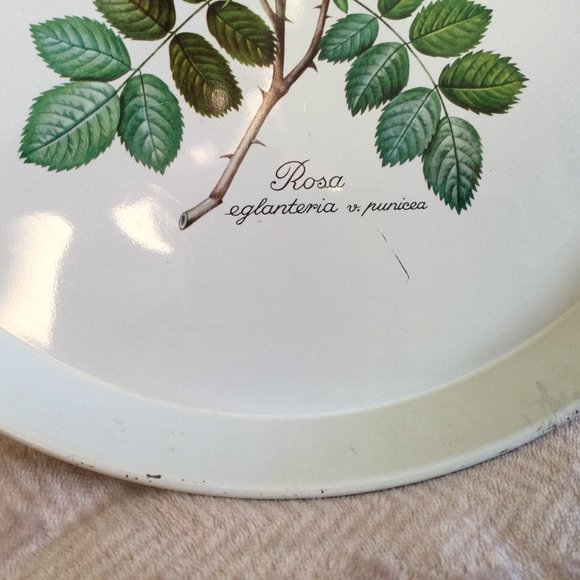 Decorative Metal Tray Roses 12 in Country Cottage - Picture 3 of 7